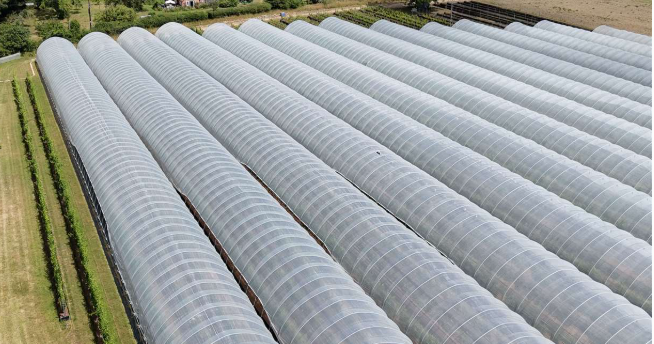 Polytunnel cleaning by drone